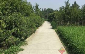 惠东县大岭镇130亩农场出租