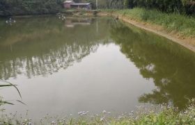 博罗县林地、鱼塘转让出租