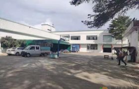 马安镇新出两层独院厂房出租，空地3000平不收钱