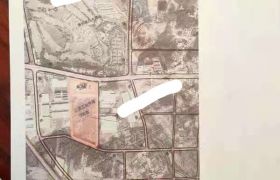 惠东大岭镇与乌塘交界附近290亩土地出售