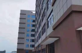 仲恺高新区沥林高速出口全新厂房出租