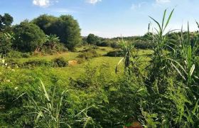 惠阳白石洞森林骑士路口直进山沟里空地出租