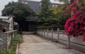惠阳区镇隆大光村红本厂房出租