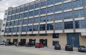 博罗石湾黄西工业区附近新建标准厂房出租