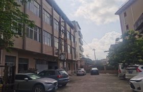 惠城区小金口兴隆东街月底空出独院红本标准厂房出租