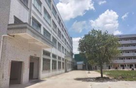 惠阳秋长工业区红本独院厂房出租