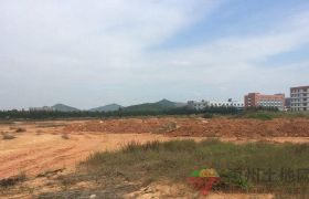 仲恺高新区潼湖镇一线大道边上国有工业土地出售