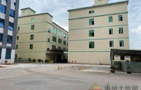 惠阳镇隆甘陂产业园全新独栋标准厂房12000平，原房东，可分租，可办环评