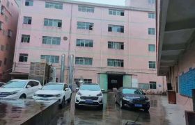 惠阳秋长原房东独院红本国有厂房出租