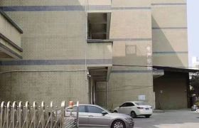 惠阳新圩镇独门独院厂房出租
