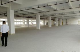 园洲镇工业区标准厂房3楼出租