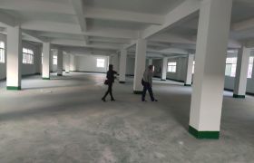 惠阳新圩镇全新标准厂房低价出租