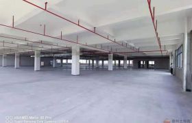 惠州平潭工业区全新红本厂房出租（可分租）