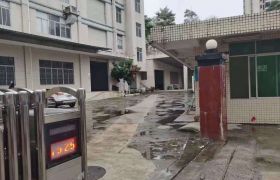 仲恺惠环独门独院四层约6800平方标准厂房招租