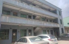 博罗龙溪镇独院标准厂房出租