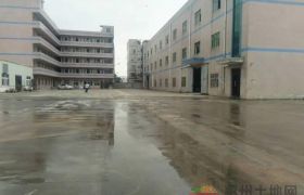惠州水口占地54000平方工业厂房出售