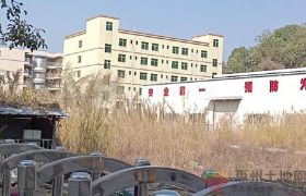 惠阳沙田占地1400㎡建筑2456㎡ 红本厂房出售