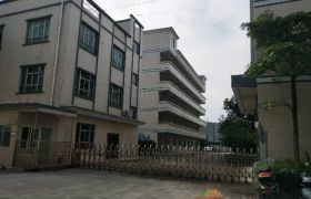 博罗长宁镇广汕路边一线厂房出售