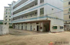 惠东大岭小型国有证独门独院出售