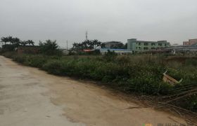 园洲九潭一线大马路红本国有证地皮