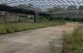惠阳高速附近国有工业用地出售
