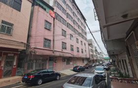 惠阳镇隆独栋厂房招租