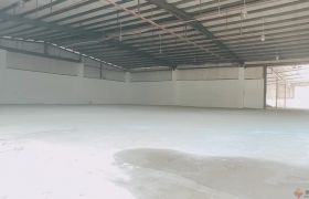 惠阳淡水白云六路钢结构厂房招租