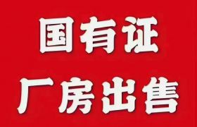 惠州市博罗一线国道边上国有土地证5000平方出售