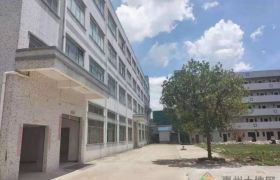 惠阳秋长维布独院小仓库出租