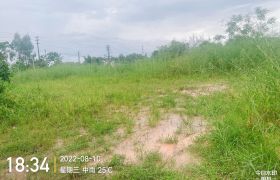 惠城区水口马水路2000平方空地出租