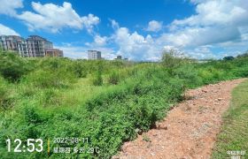 惠城区水口惠泽大道马路边5900平方空地出租