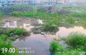 惠城区水口湖滨旁5000平方空地出租