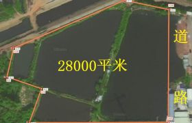 惠城区水口水果批发市场附近空地出租