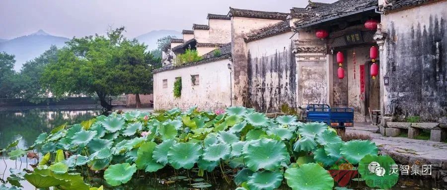 如何解决《乡村振兴规划方案》落地难？
