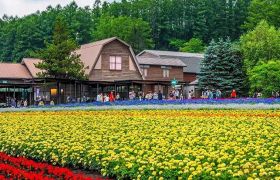 “乡村旅游+”，究竟加什么？如何推动乡村振兴？