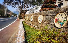 树好庭院经济“风向标”，打造乡村振兴“助推器”！