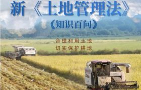 重磅！倒卖土地的违法行为将受到这些处罚！