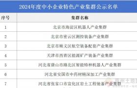重磅！广东拟再添8个国家级中小企业特色产业集群