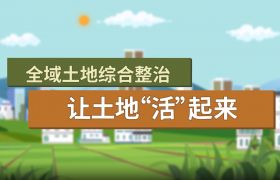 重磅！自然资源部全域土地综合整治实施指南，2025年农村这样干！