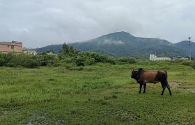 惠阳永湖占地4万平方工业用地出售