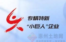 专精特新“小巨人”申报高频驳回点，附应对策略