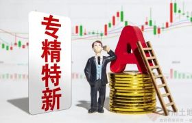 专精特新！小赛道里的大赢家，如何在细分赛道实现大突破？