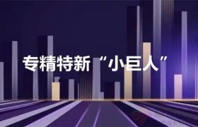 2025年度国家级专精特新“小巨人”企业申报30个热点问题解答