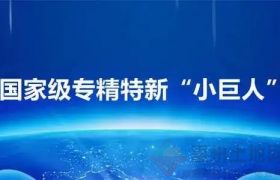 专精特新“小巨人”申报要过五关斩六将？这本三维实战练习册请收好！