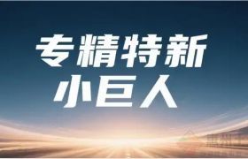2025专精特新“小巨人”申报：数据、红线与突围指南