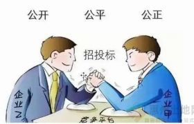 支持中小企业参与投标！广东出台24项招投标管理措施