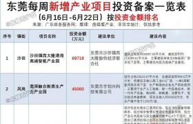 发力低空经济！深圳+东莞，86个产业项目完成备案